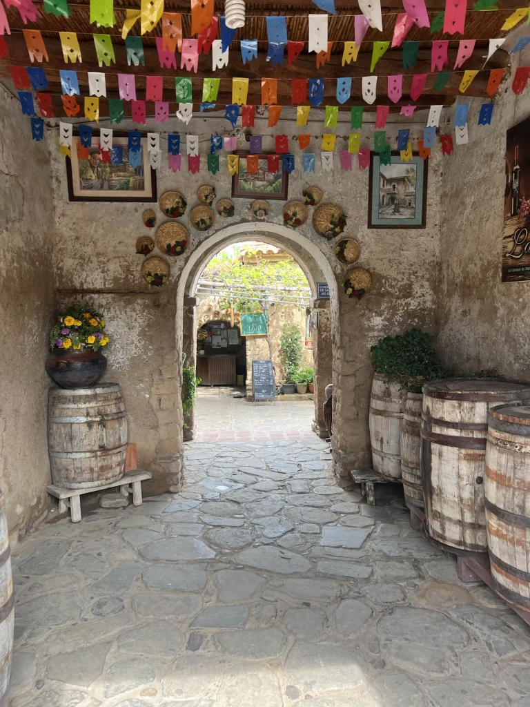 Casa Vieja Tarjia